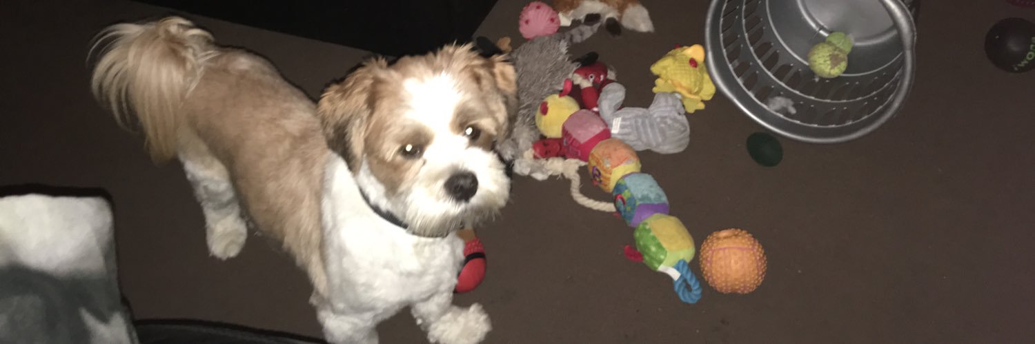 Darran Drinkeld banner