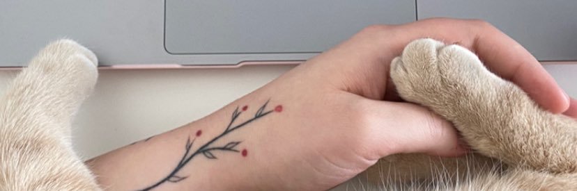 mutualritual's profile banner image