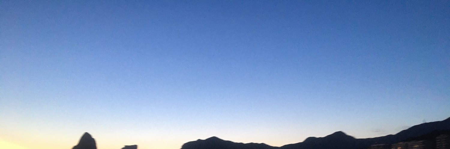 lleste_'s profile banner image