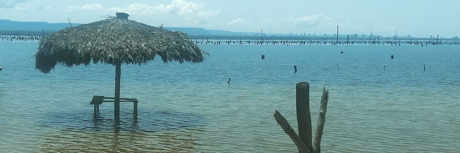 agostinho1979's profile banner image