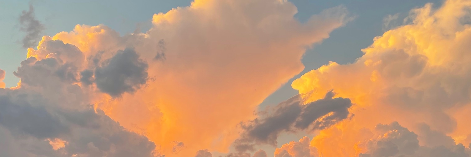 bai_schildberg's profile banner image