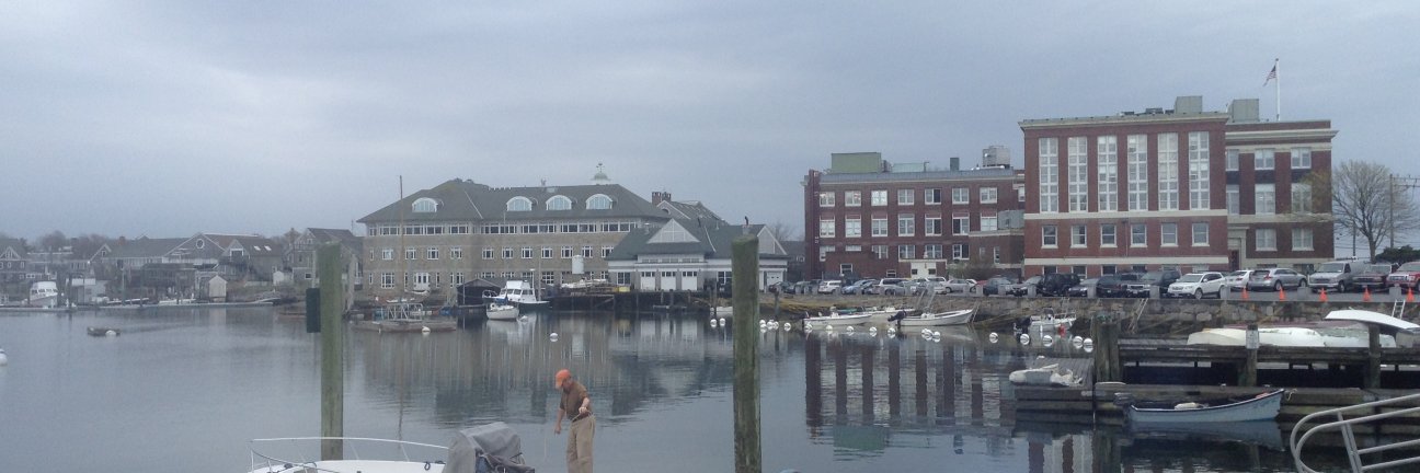MBLWHOI Library banner