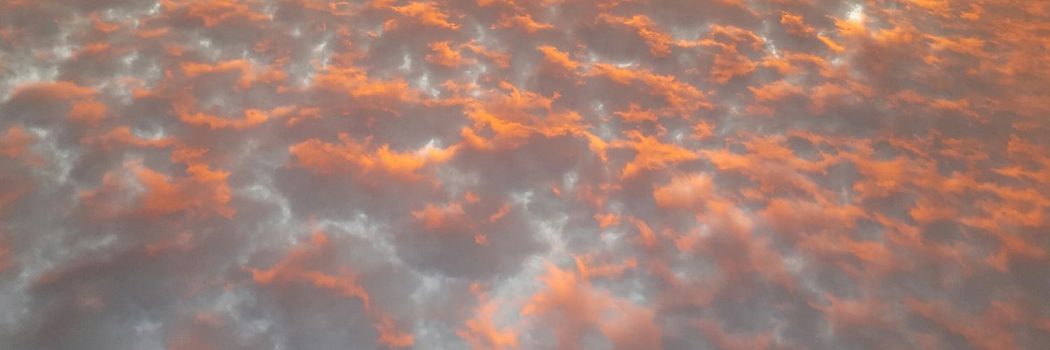 Perfektionaise's profile banner image