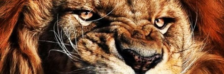 CayoR's profile banner image