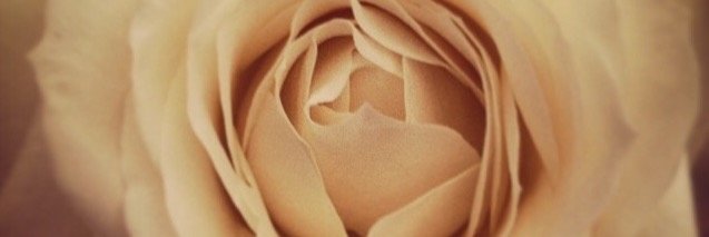 SaskiaKalksma's profile banner image