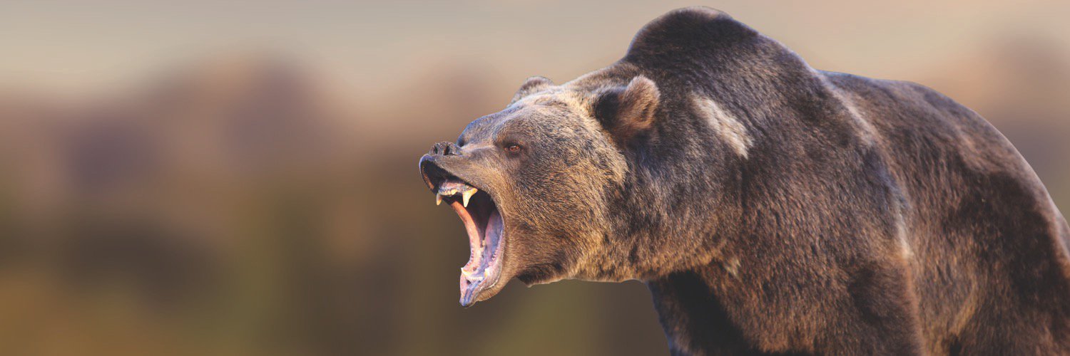 Morgan State Bears Profile Banner