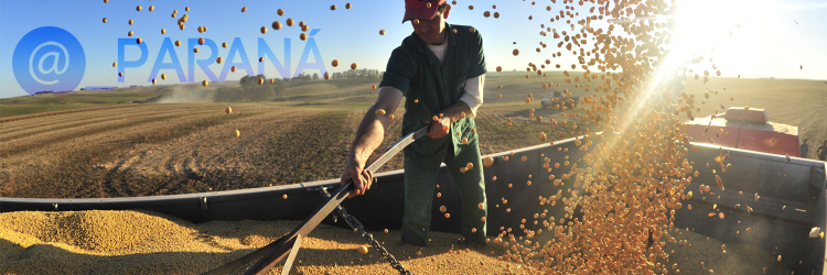 _Parana's profile banner image