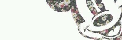 VeeAlmeida's profile banner image