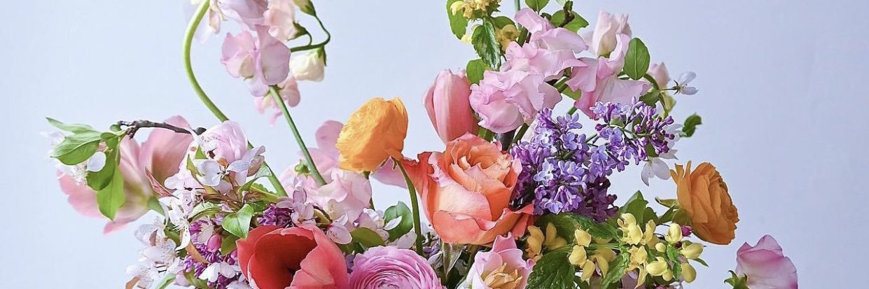 DaisySkep's profile banner image
