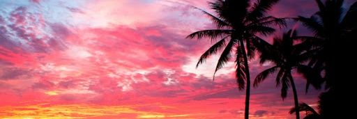 LoveFromBrenda's profile banner image