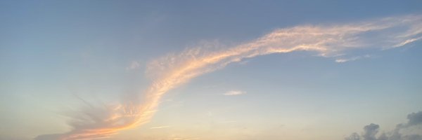 podduturi Profile Banner