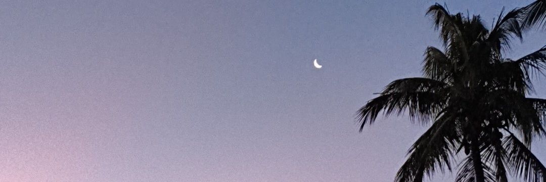 JACKPRAIA's profile banner image