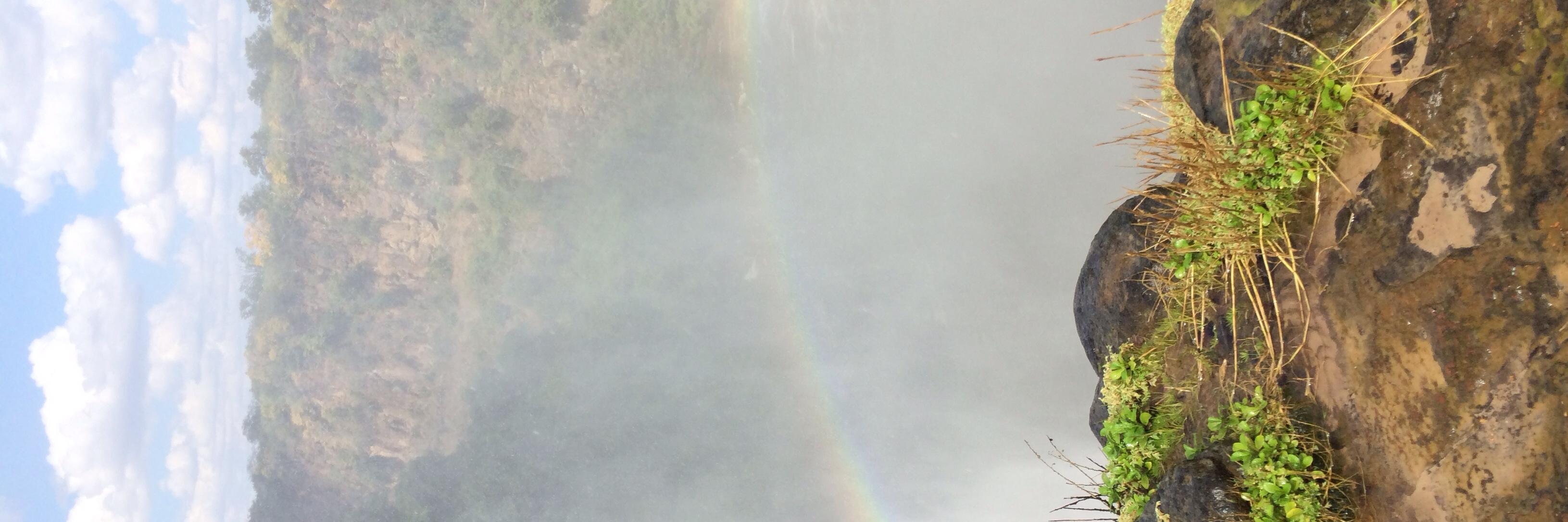 Tynashy's profile banner image