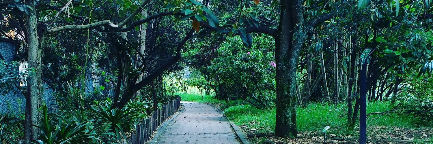 Fernet_rojas's profile banner image