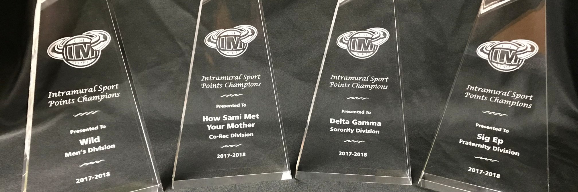 USF Intramurals banner