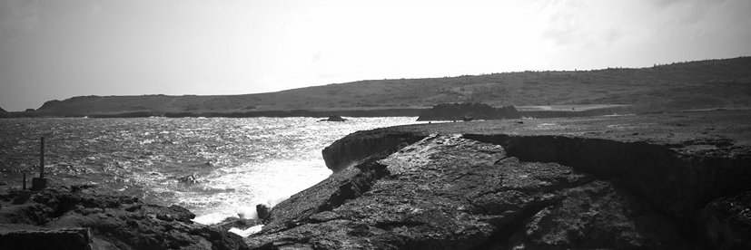 Carlos Daniel banner