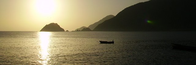 castilloali's profile banner image