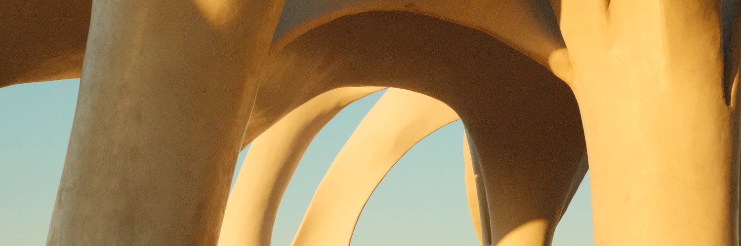 María Renée banner