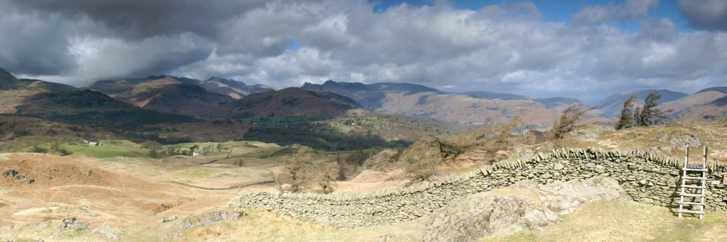 rennarda's profile banner image
