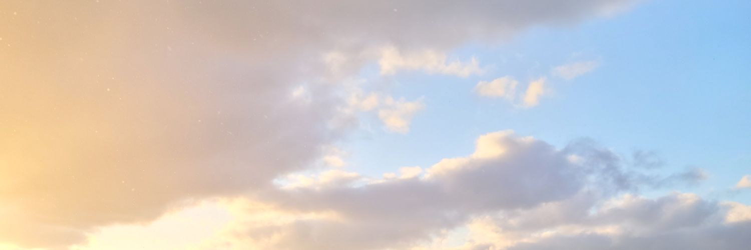 fricbergsean's profile banner image