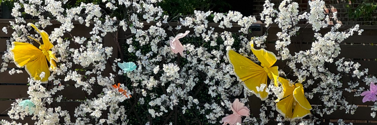 msnikaroo's profile banner image