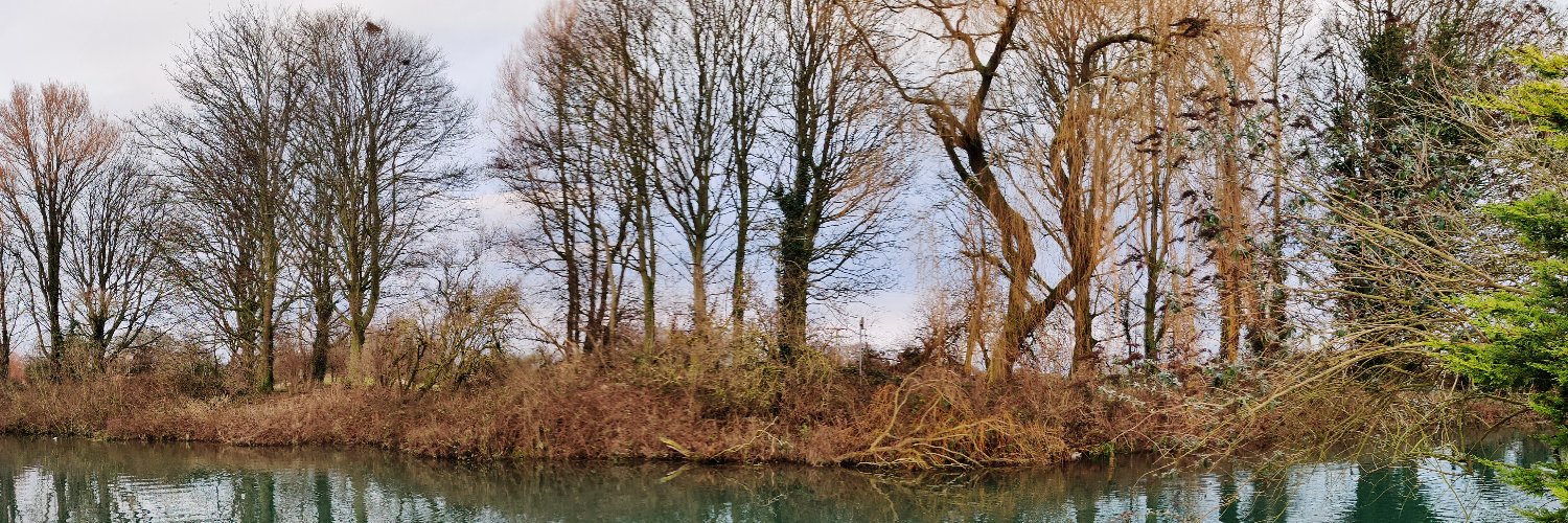 MelStorey1's profile banner image