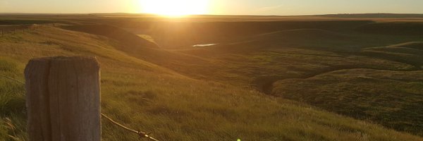 O2TUNA Profile Banner