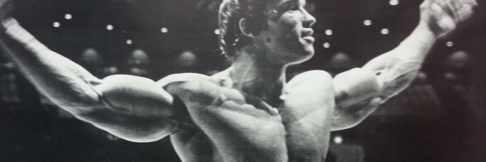 Gordy Chilton banner