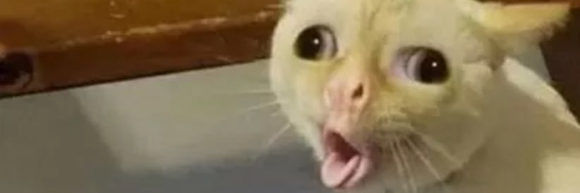 beertooth_'s profile banner image