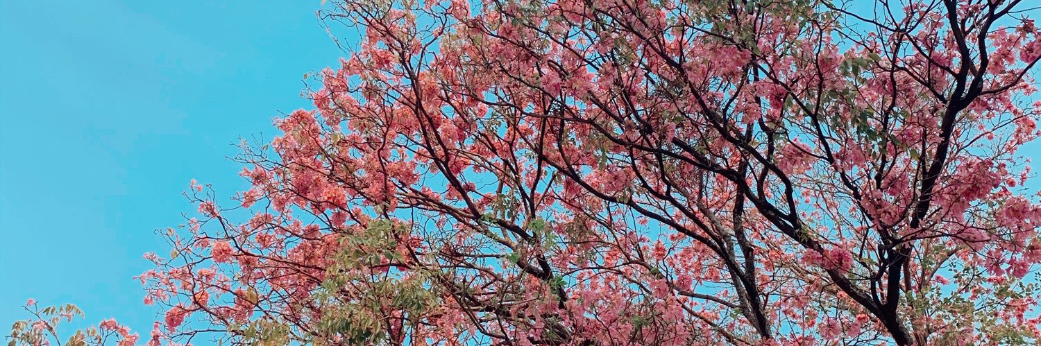 Tempest Shadow banner