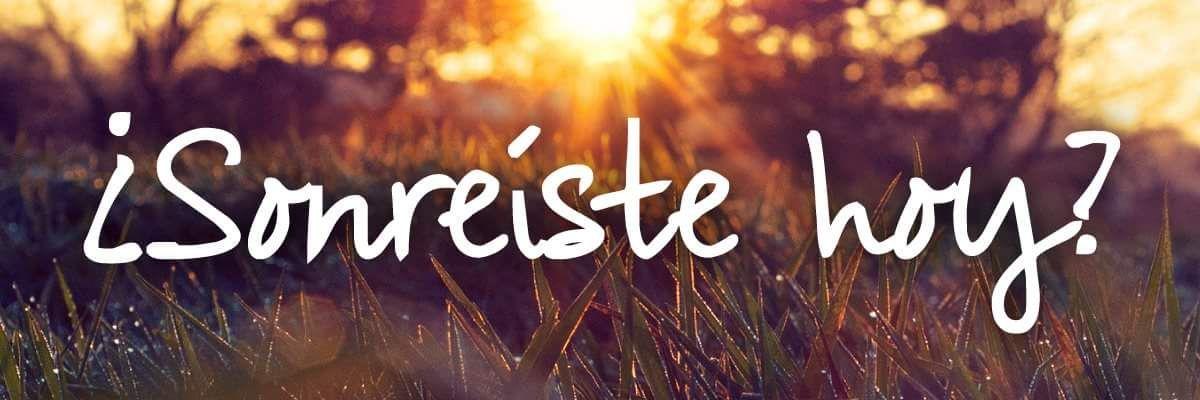 natalinsoria's profile banner image