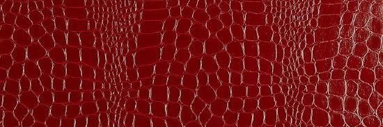 laurarroyave's profile banner image