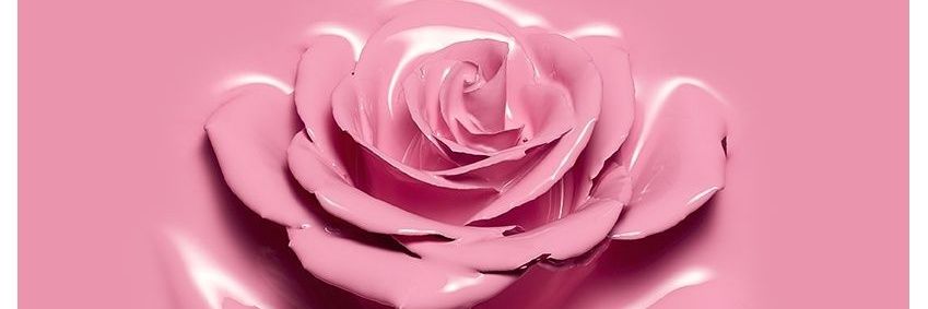 Ester Campos banner