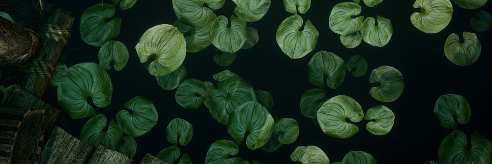 RhueBell's profile banner image