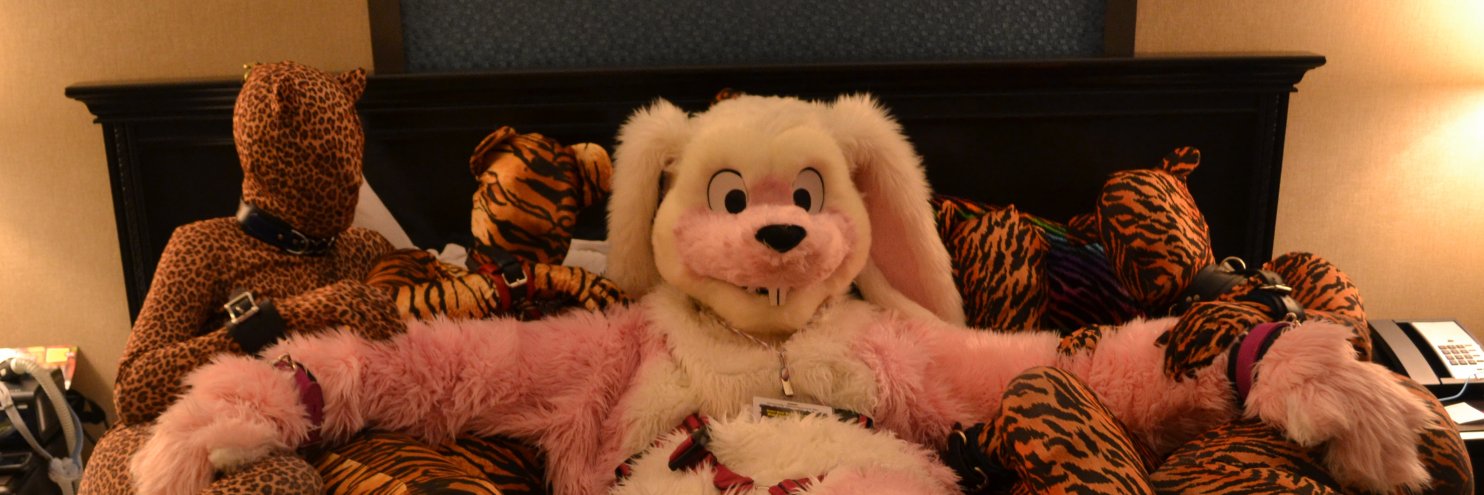 BernieBBunny's profile banner image