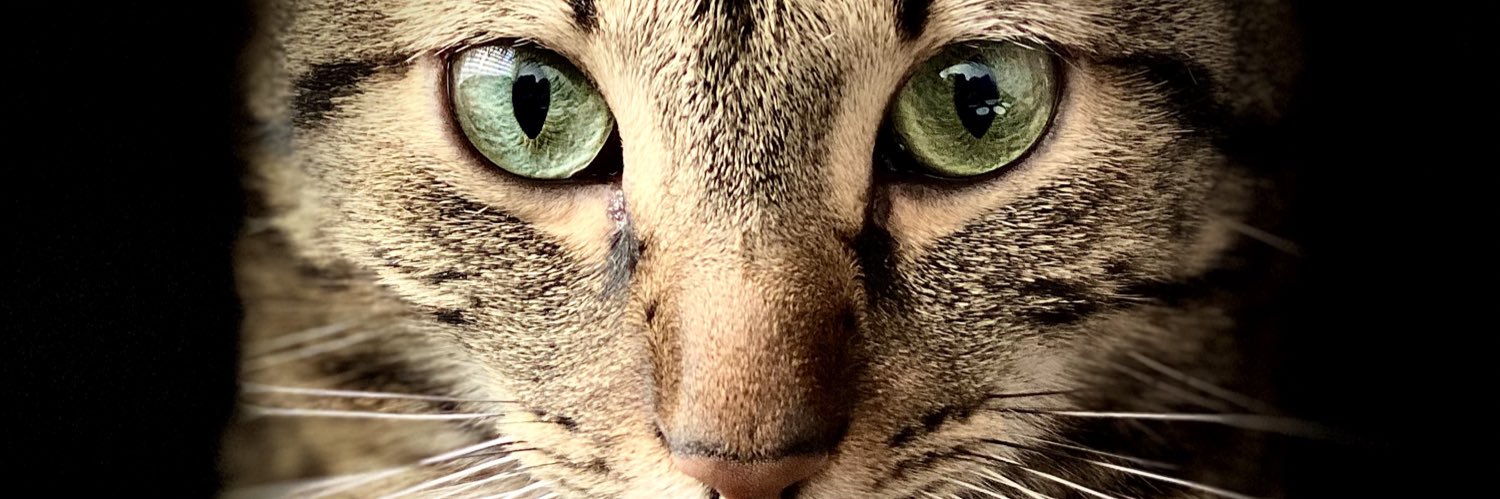 GiianHC's profile banner image