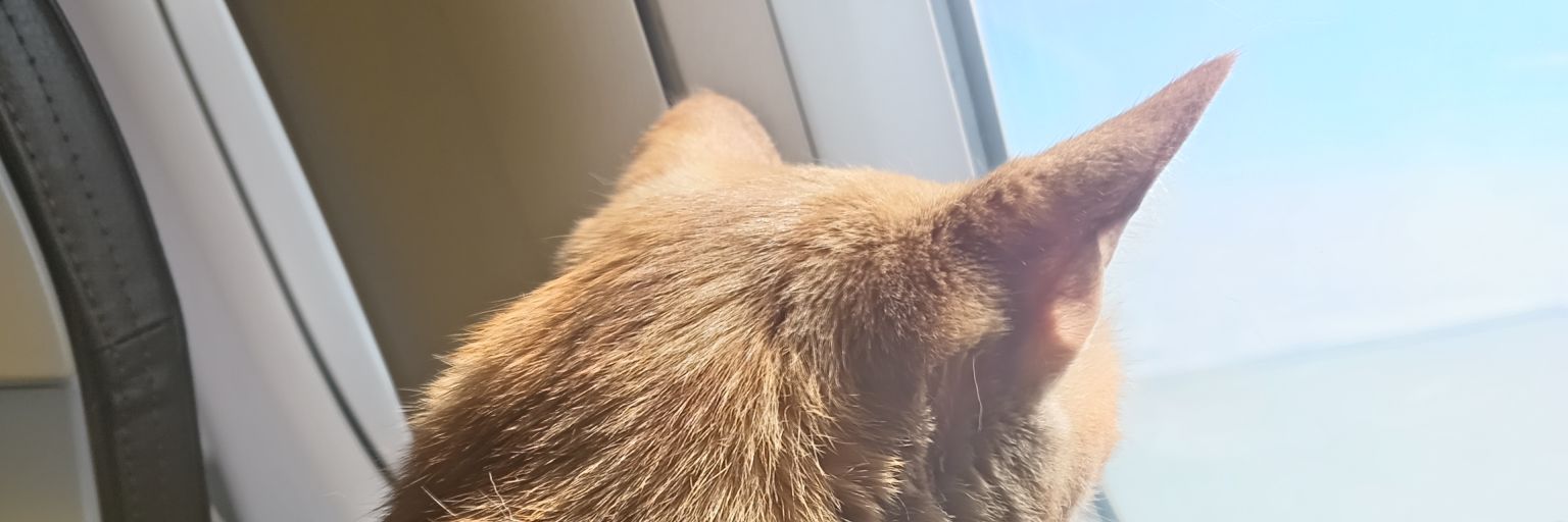 PauRodriMusic's profile banner image