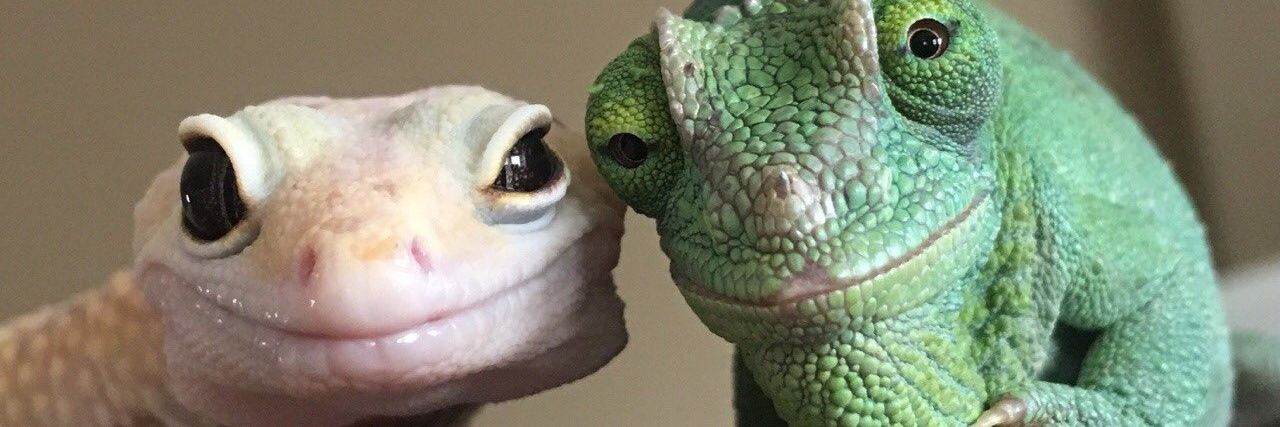 nothingmaxxer banner