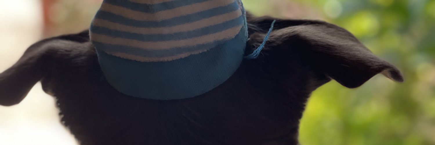 alevsco's profile banner image