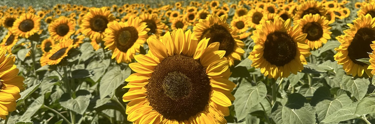 katlyncramer's profile banner image