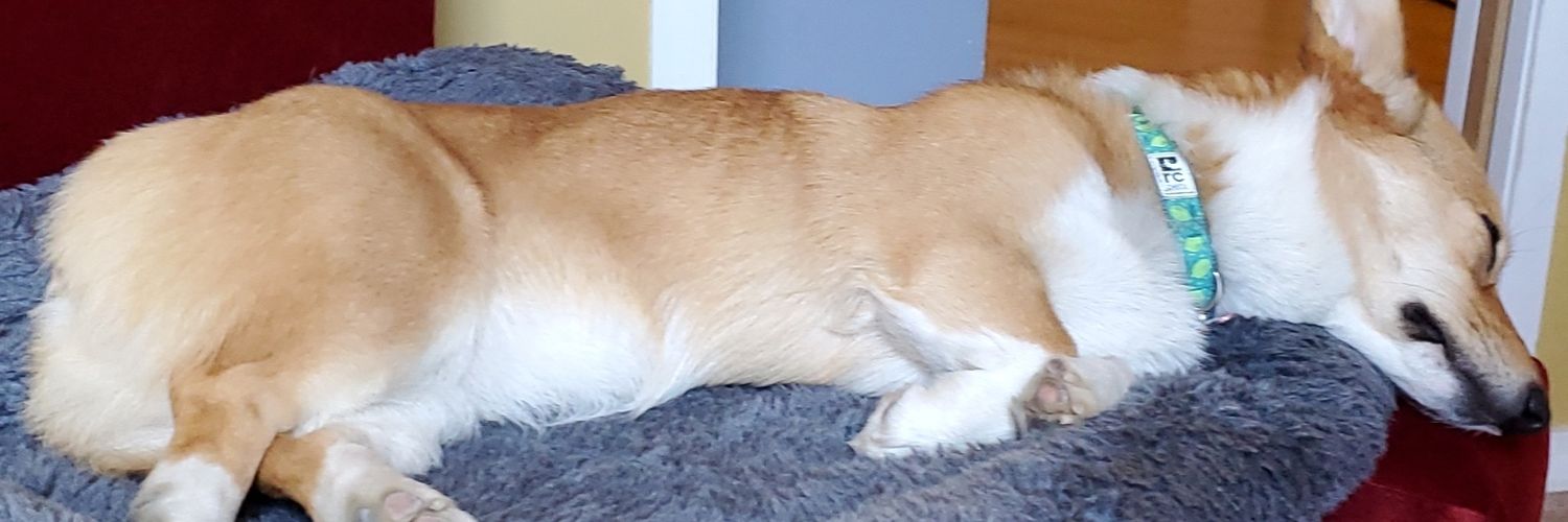 Alphaboz's profile banner image