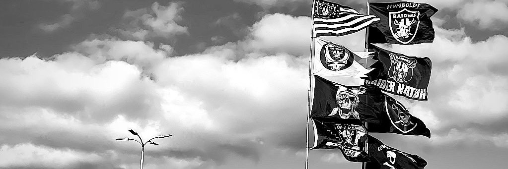 dankfvrrik's profile banner image