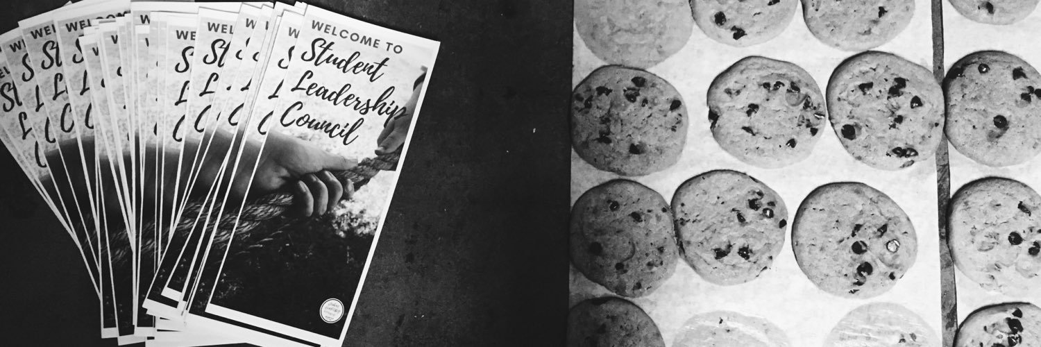 LeeU SLC banner