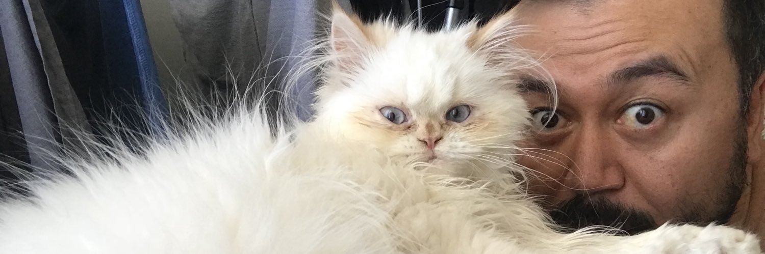 alikocoglu's profile banner image