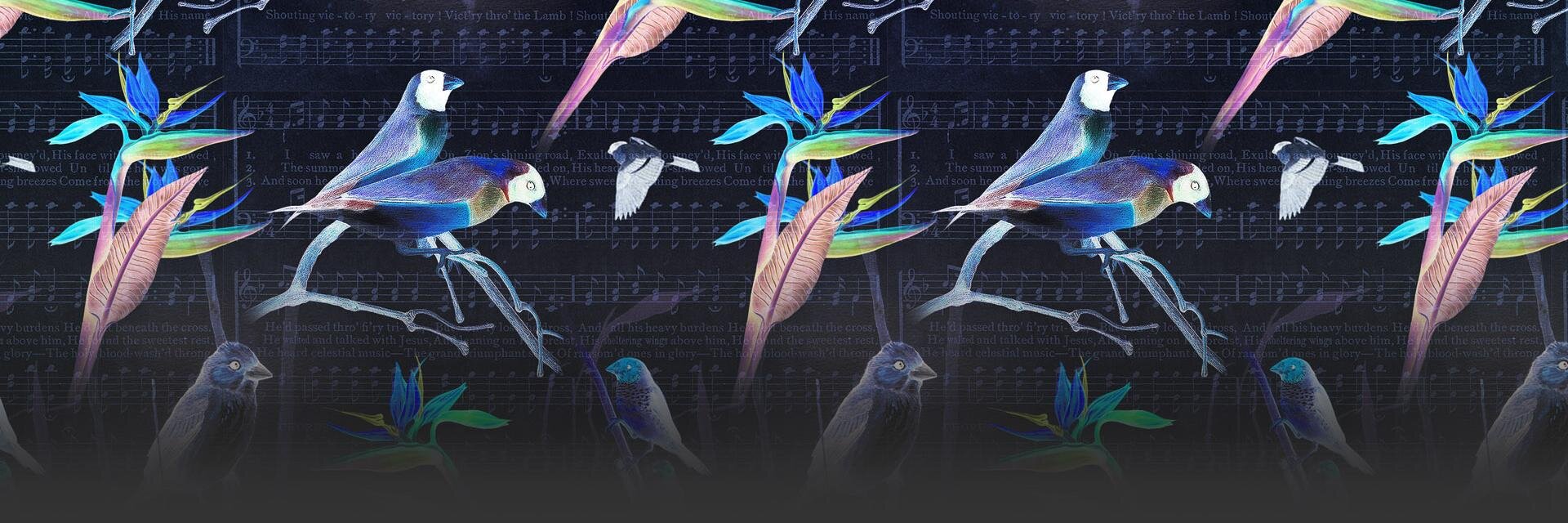 ♔ N i k o s banner