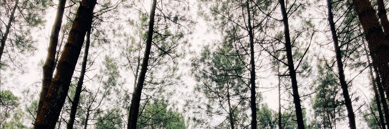 jee_pan's profile banner image
