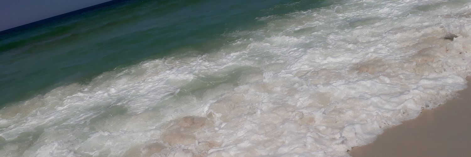 sandrac_o's profile banner image