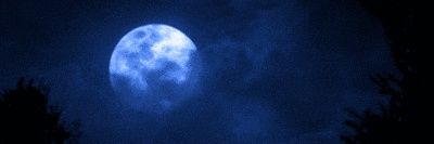 Syless Necole banner