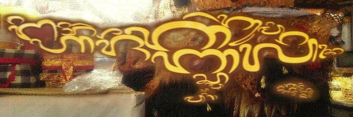 AngusBalinese's profile banner image