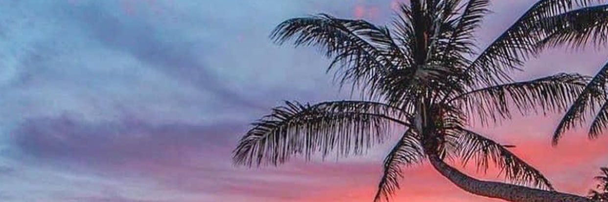 Sadenaii's profile banner image
